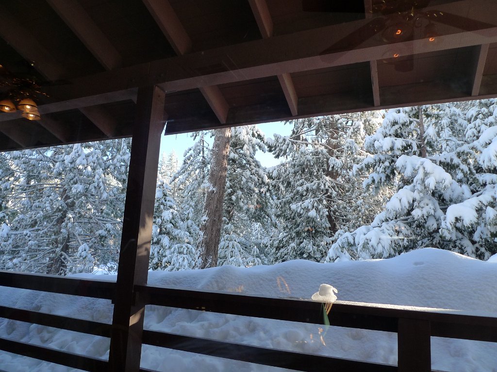 Christmas2010 177.JPG